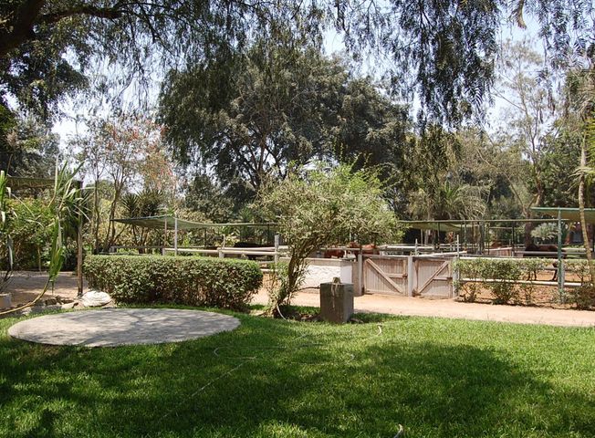 Finca en Venta en Pachacamac - Imagen 13