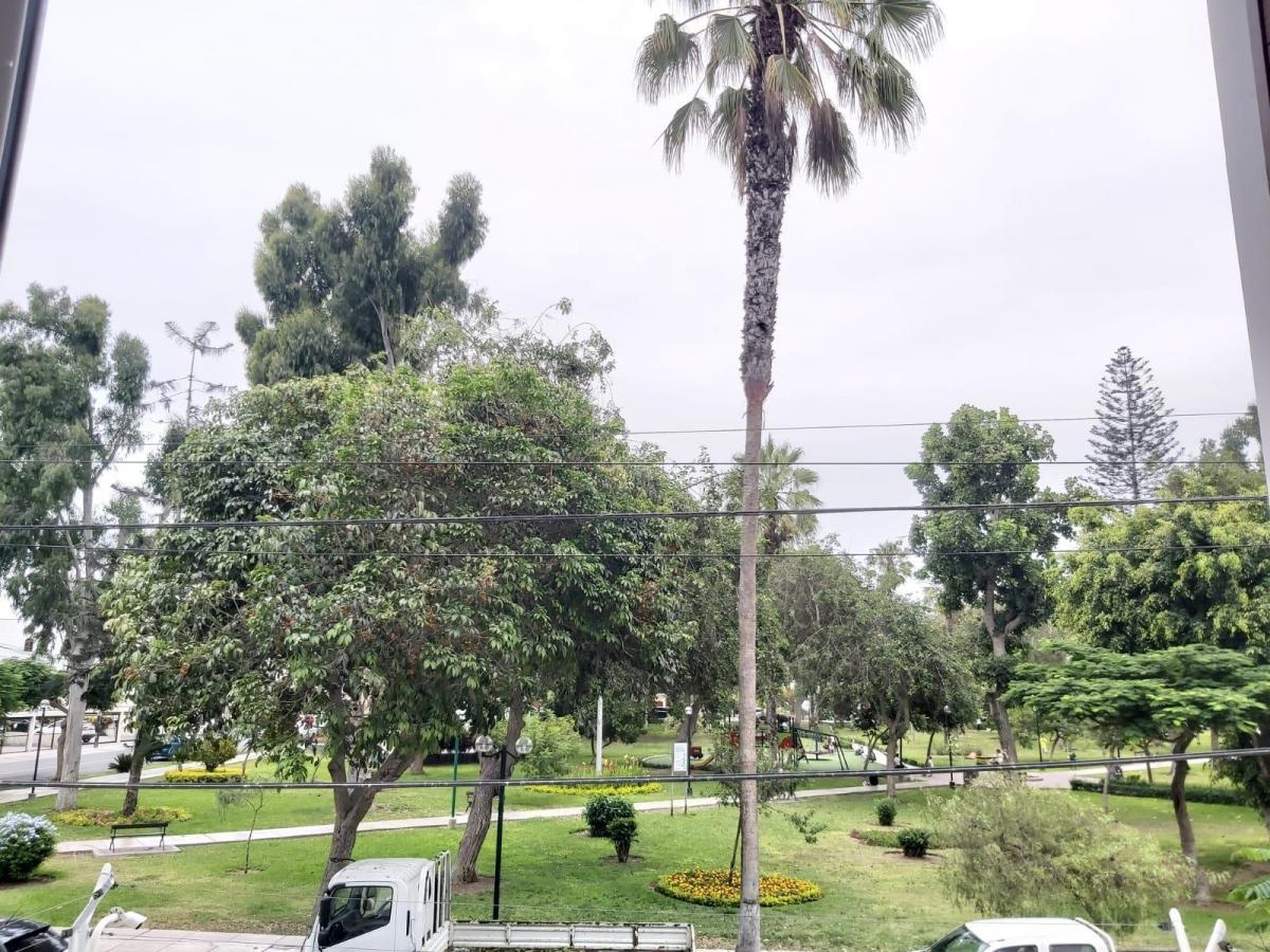 Departamento en La Aurora-Miraflores - Imagen 3